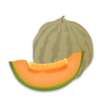 Musk Melon Favicon 