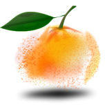 Orange Favicon 