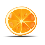 Orange Slice Favicon 