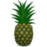 Pineapple Favicon 