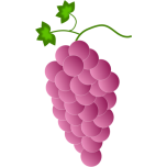 Pink Grapes Favicon 