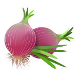 Red Onions Favicon 