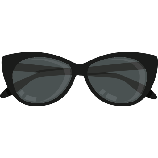 Sunglasses Favicon Information