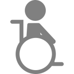 Person Wheelchair Favicon 
