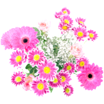 Flower Arrangement Favicon 