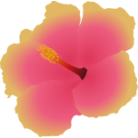 Hibiscus Favicon 