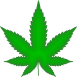 Marijuana Leaf Green Favicon 
