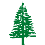 Norfolk Island Pine Favicon 