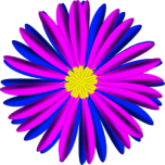  Pink And Blue Flower   Favicon Preview 