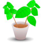 Plant In A Pot Favicon 