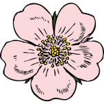 Wild Rose Favicon 