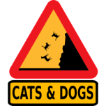  Falling Cats And Dogs   Favicon Preview 